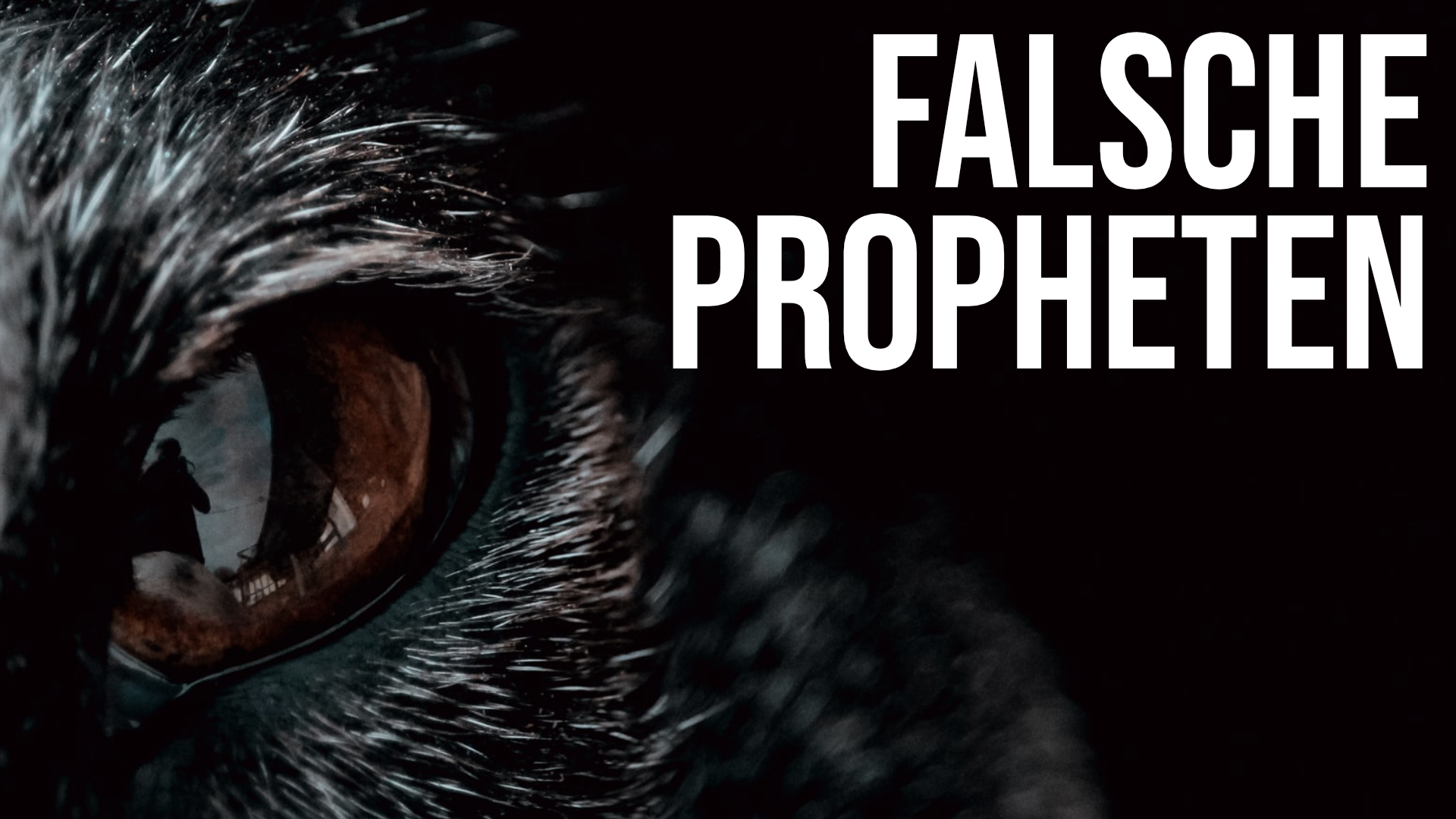Read more about the article Falsche Propheten – die christliche „Elite“